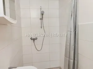 Pronájem kanceláře, České Budějovice - České Budějovice 3, Skuherského, 33 m2