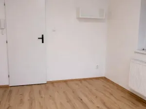 Pronájem bytu 1+1, Praha - Nusle, Družstevní, 38 m2