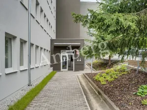 Pronájem bytu 1+kk, Praha - Vinohrady, Perucká, 26 m2