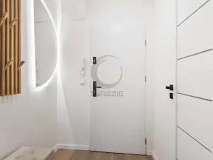 Prodej bytu 2+kk, Praha - Nusle, Plamínkové, 41 m2