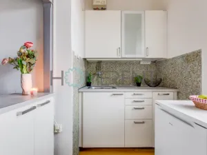 Pronájem bytu 1+1, Praha - Vršovice, Petrohradská, 37 m2