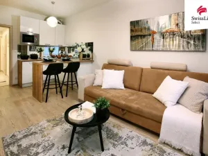 Pronájem bytu 1+kk, Praha - Žižkov, Olšanská, 35 m2