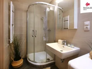 Pronájem bytu 1+kk, Praha - Žižkov, Olšanská, 35 m2