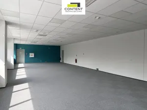Pronájem výrobních prostor, Most - Čepirohy, Žatecká, 9330 m2