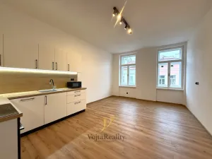 Pronájem bytu 2+kk, Olomouc, Riegrova, 50 m2
