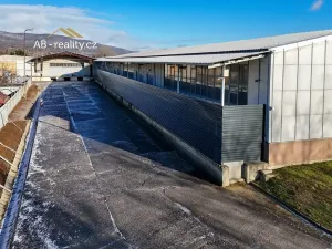 Prodej skladu, Novosedlice, Vrchoslavská, 5600 m2