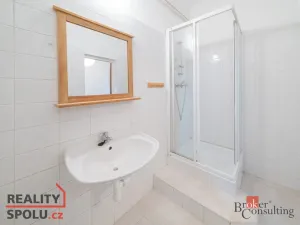 Prodej bytu 1+1, Ostrava - Mariánské Hory, 28. října, 54 m2