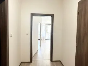 Pronájem bytu 1+1, Praha, Bermanova, 45 m2