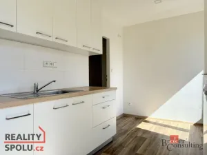 Pronájem bytu 1+1, Opava - Předměstí, Polní, 35 m2