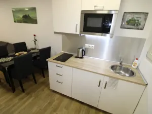 Pronájem bytu 1+kk, Praha - Nové Město, Opletalova, 35 m2