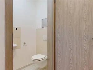 Pronájem bytu 2+kk, Králův Dvůr, Na Horizontu, 58 m2