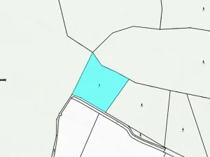 Dražba lesa, Kasalice, 7304 m2