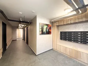 Pronájem bytu 1+kk, Praha - Hodkovičky, Pod lysinami, 29 m2