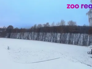 Prodej pozemku pro bydlení, Zdíkov, 2561 m2