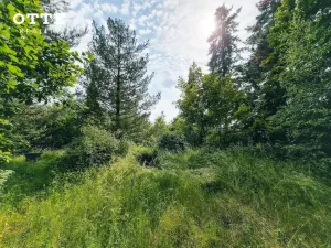 Prodej pozemku pro bydlení, Plzeň - Litice, 850 m2