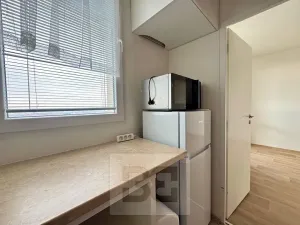 Pronájem bytu 1+1, Brno, Haškova, 30 m2