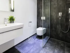 Pronájem bytu 5+kk, Praha - Bubeneč, Jaselská, 192 m2