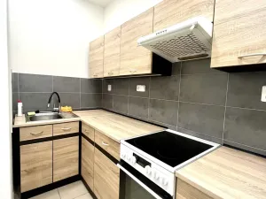 Pronájem bytu 1+1, Ostrava, Tavičská, 33 m2