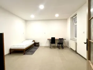 Pronájem bytu 1+1, Ostrava, Tavičská, 33 m2