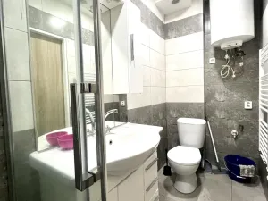 Pronájem bytu 1+1, Ostrava, Tavičská, 33 m2