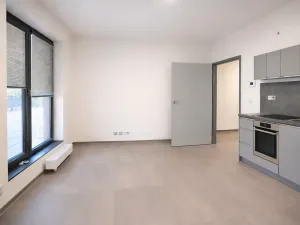 Pronájem bytu 1+kk, Brno, Měřičkova, 30 m2