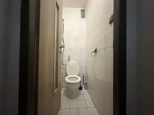 Pronájem rodinného domu, Uherský Brod, 140 m2