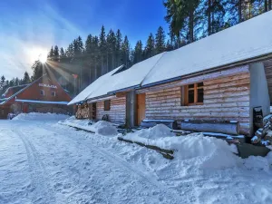 Prodej chalupy, Vítkovice, 500 m2