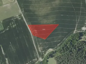 Prodej pole, Vojkov, 7804 m2