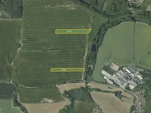 Prodej pole, Pravonín, 25975 m2