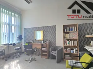 Prodej ordinace, Hronov, Havlíčkova, 1174 m2