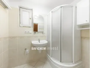 Prodej bytu 2+kk, Praha - Vinohrady, Moravská, 50 m2