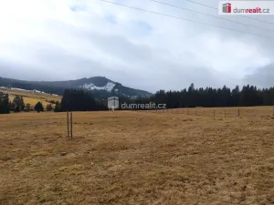 Prodej louky, Horská Kvilda, 1321 m2