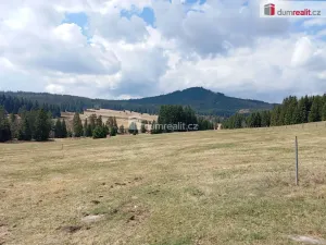 Prodej louky, Horská Kvilda, 1321 m2