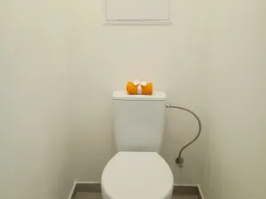 Pronájem bytu 2+1, Ostrava - Výškovice, Staňkova, 57 m2