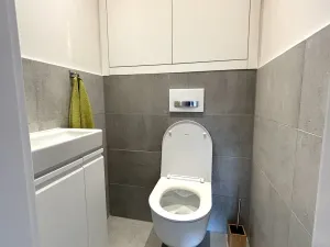 Pronájem bytu 3+kk, Plzeň - Severní Předměstí, Elišky Krásnohorské, 67 m2