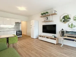 Pronájem bytu 1+kk, Znojmo, Jarošova, 35 m2