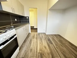 Pronájem bytu 1+1, Ostrava - Zábřeh, Dolní, 36 m2