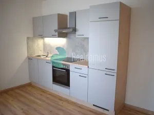 Pronájem bytu 1+kk, České Budějovice, České Vrbné, 43 m2