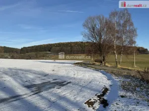 Prodej komerčního pozemku, Vlachovo Březí, Pražská, 2261 m2