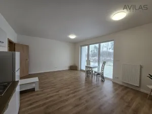 Pronájem bytu 1+kk, Benešov, U Pivovaru, 36 m2