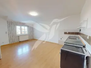 Prodej bytu 2+kk, Plzeň, Karlova, 51 m2