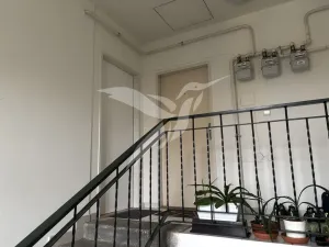 Prodej bytu 2+kk, Plzeň, Karlova, 51 m2