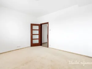 Pronájem bytu 4+1, Šestajovice, Sukova, 204 m2