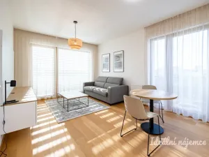 Pronájem bytu 1+kk, Praha - Malešice, Mölzerova, 30 m2