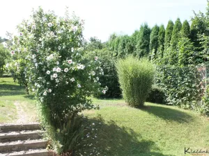 Prodej rodinného domu, Zlín - Příluky, Pančava, 232 m2