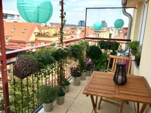 Pronájem bytu 3+kk, Praha - Holešovice, Tusarova, 76 m2