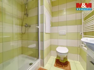 Pronájem bytu 1+1, Cheb, Dvořákova, 37 m2