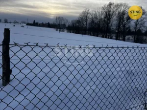 Prodej rodinného domu, Sedliště, 400 m2