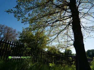 Prodej zemědělské usedlosti, Lipová, 230 m2