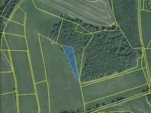 Prodej lesa, Čepřovice, 1644 m2